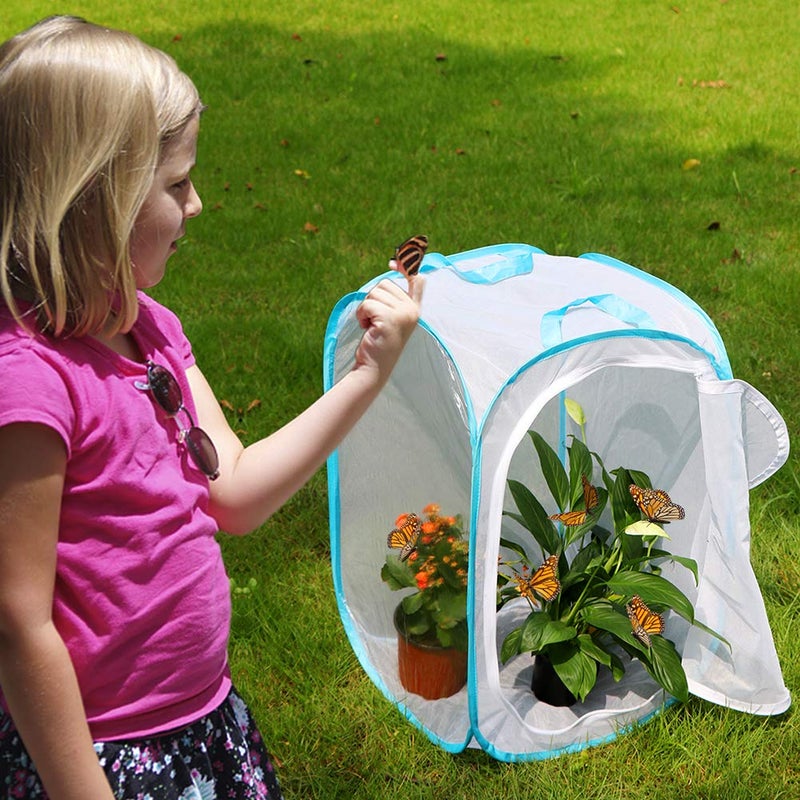 RESTCLOUD Insect and Butterfly Habitat Cage Terrarium Pop-up 24 Inches Tall - Image 2